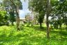 Land for sale in Si Sunthon, Phuket
