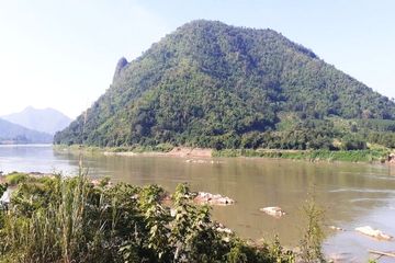 Land for sale in Bu Hom, Loei