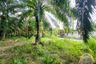 Land for sale in Huai Yai, Chonburi