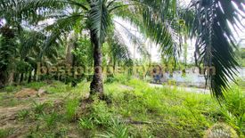 Land for sale in Huai Yai, Chonburi