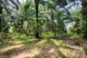 Land for sale in Huai Yai, Chonburi