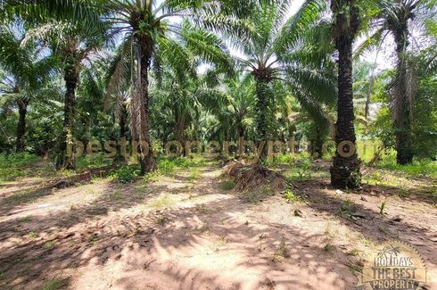 Land for sale in Huai Yai, Chonburi