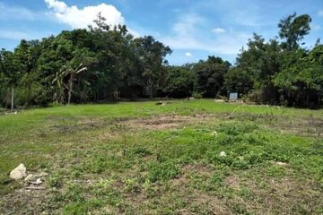 Land for sale in San Phranet, Chiang Mai