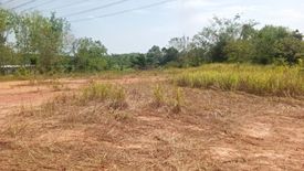 Land for sale in Tha Yu, Phang Nga