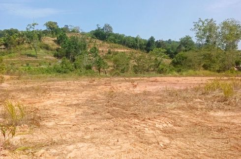 Land for sale in Tha Yu, Phang Nga