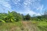 Land for sale in Thep Krasatti, Phuket