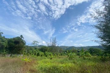 Land for sale in Thep Krasatti, Phuket