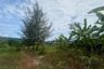 Land for sale in Thep Krasatti, Phuket