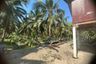 Land for sale in Phraek Nam Daeng, Samut Songkhram