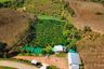 Land for sale in Nong Bua, Chiang Mai