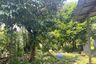 Land for sale in Khok Kloi, Phang Nga