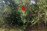 Land for sale in Sa Kaeo, Sa Kaeo