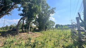 Land for sale in Thai Mueang, Phang Nga