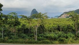 Land for sale in Khlong Khian, Phang Nga