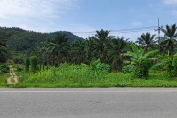 Land for sale in Kapong, Phang Nga
