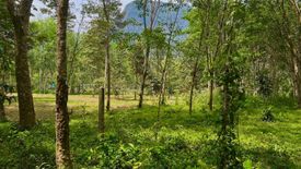 Land for sale in Khao Khram, Krabi