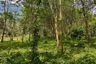 Land for sale in Khao Khram, Krabi