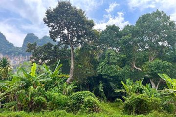 Land for sale in Khao Khram, Krabi