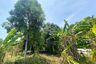 Land for sale in Mai Khao, Phuket