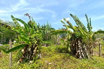 Land for sale in Mai Khao, Phuket