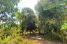 Land for sale in Mai Khao, Phuket