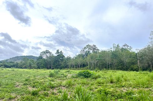 Land for sale in Khok Kloi, Phang Nga