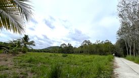 Land for sale in Khok Kloi, Phang Nga