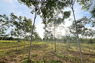 Land for sale in Thai Mueang, Phang Nga