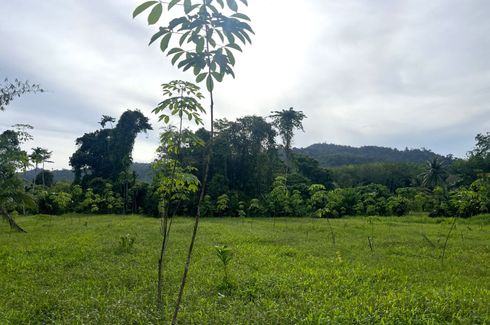 Land for sale in Bang Thong, Phang Nga