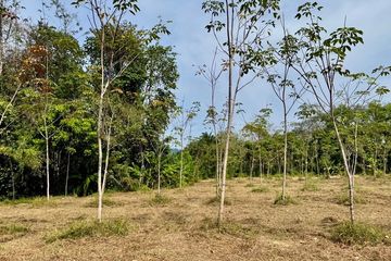 Land for sale in Bang Thong, Phang Nga