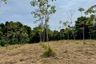 Land for sale in Bang Thong, Phang Nga
