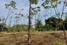 Land for sale in Bang Thong, Phang Nga