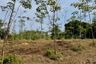 Land for sale in Bang Thong, Phang Nga