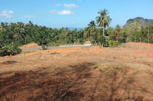 Land for sale in Khao Thong, Krabi