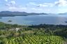 Land for sale in Khok Kloi, Phang Nga