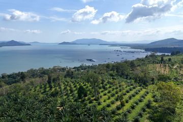 Land for sale in Khok Kloi, Phang Nga