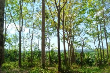Land for sale in Thai Mueang, Phang Nga