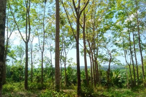 Land for sale in Thai Mueang, Phang Nga