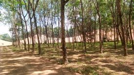 Land for sale in Thai Mueang, Phang Nga