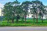 Land for sale in Nong Sarai, Nakhon Ratchasima