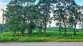 Land for sale in Nong Sarai, Nakhon Ratchasima