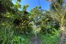 Land for sale in Thep Krasatti, Phuket