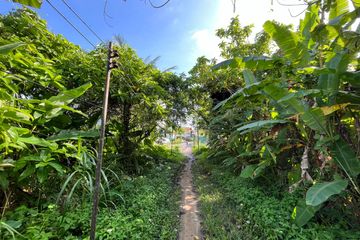 Land for sale in Thep Krasatti, Phuket