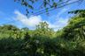 Land for sale in Thep Krasatti, Phuket