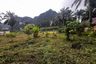 Land for sale in Khao Thong, Krabi