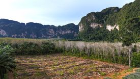 Land for sale in Khao Thong, Krabi