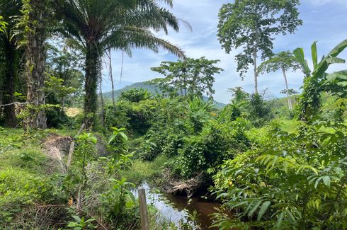 Land for sale in Lo Yung, Phang Nga