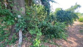 Land for sale in Pak Nam, Suphan Buri