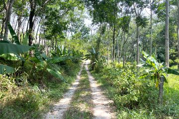 Land for sale in Bang Thong, Phang Nga