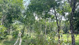 Land for sale in Bang Thong, Phang Nga